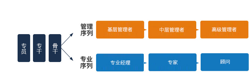 emc易倍·(中国)体育官方网站-EMC SPORTS