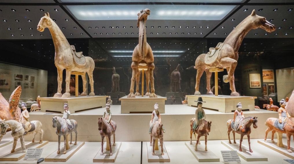 emc易倍·(中国)体育官方网站-EMC SPORTS