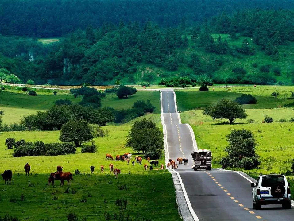 emc易倍·(中国)体育官方网站-EMC SPORTS