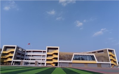 高清拾音手艺刷新：解决音质模糊挑战，打造清晰音频体验