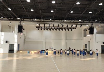 聚会扩声系统优化：解决杂音与笼罩难题，提升聚会效率